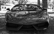 Lamborghini Gallardo  -       